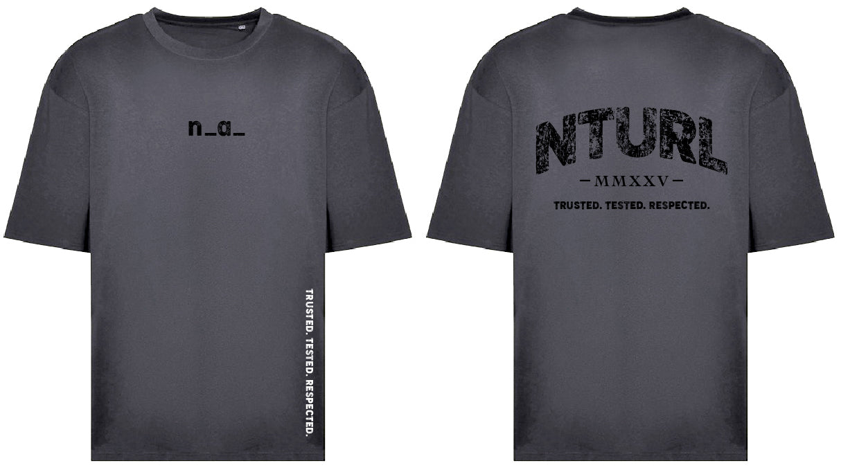 n_a_ OVERSIZE T - SHARK GREY (DESIGN 2)