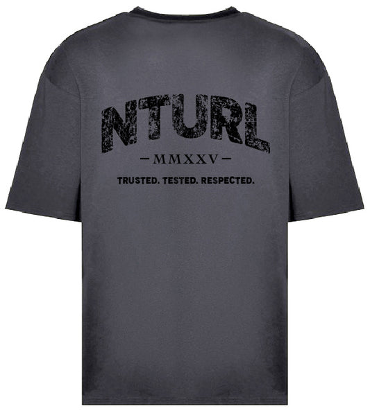 n_a_ OVERSIZE T - SHARK GREY (DESIGN 2)